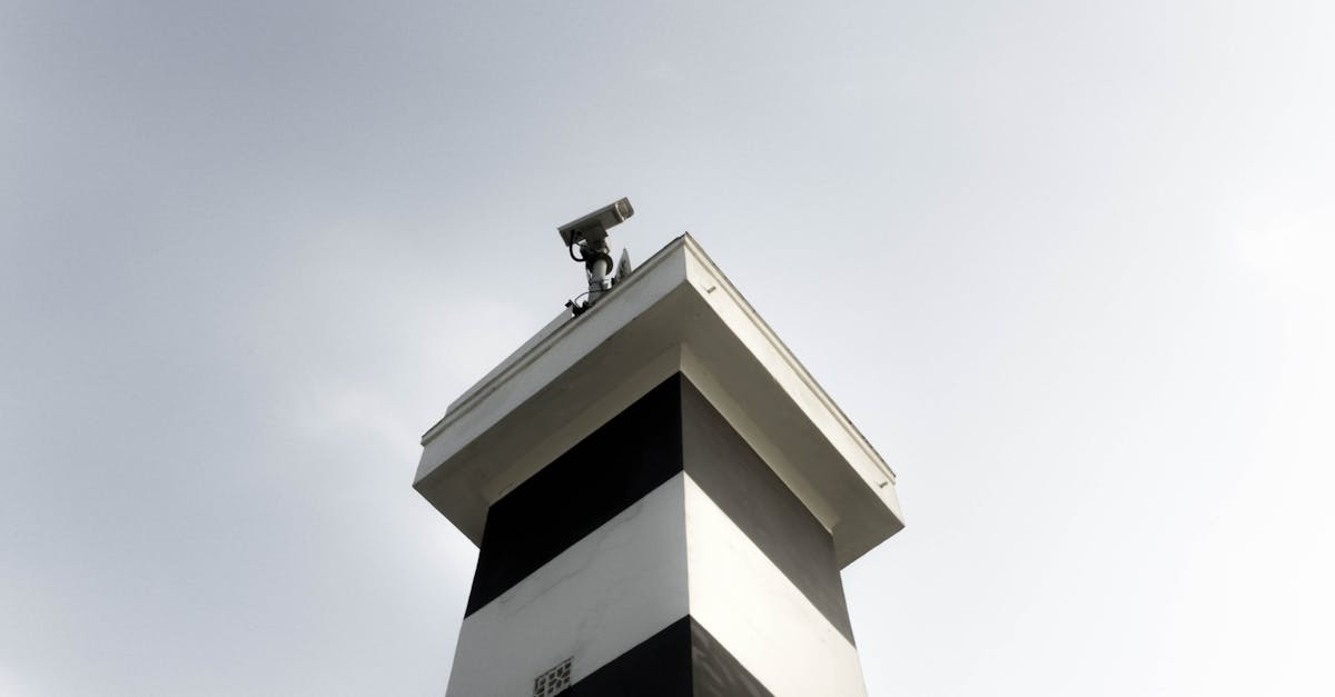 Bohem宝恒树叶3+17爆珠(混合):小说平台招cps代理