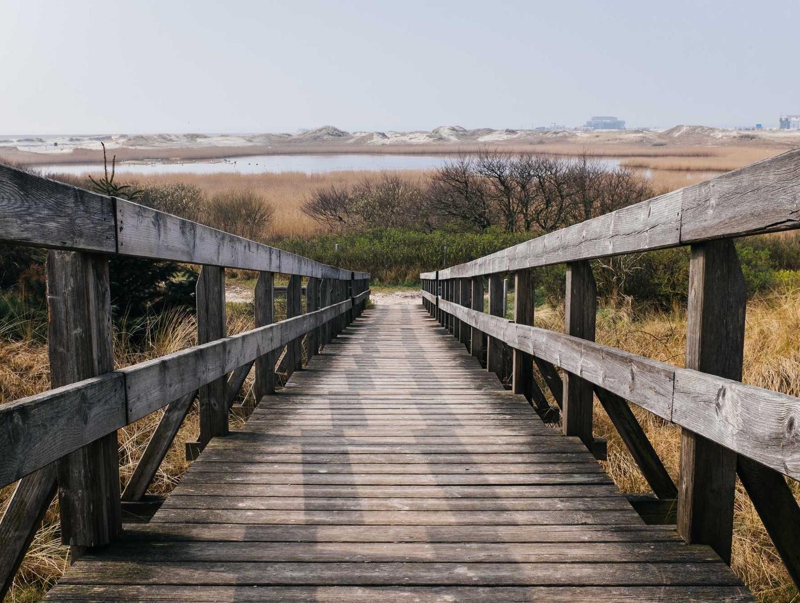 摩臣2娱乐,注册|CAD2007软件详情下载教程app