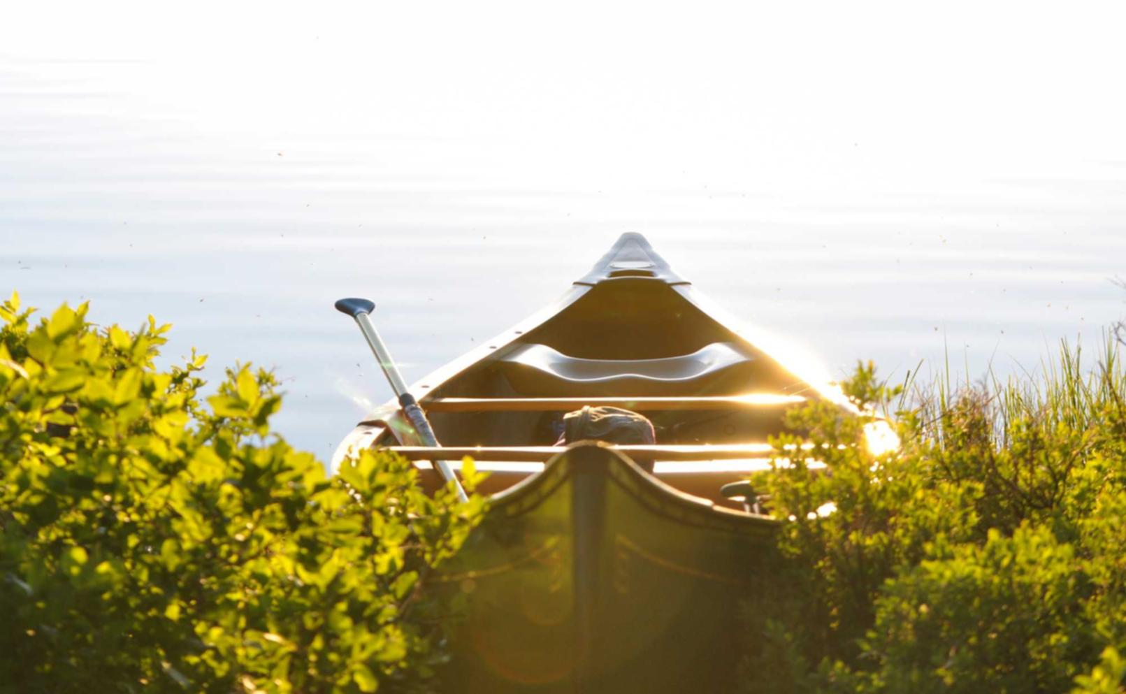 DDOS在线攻击|黑客文化的历史和现状