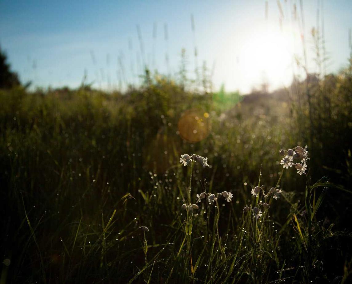 港免税白金万宝路：详情下载教程58同城app详情下载教程电脑版详情下载教程