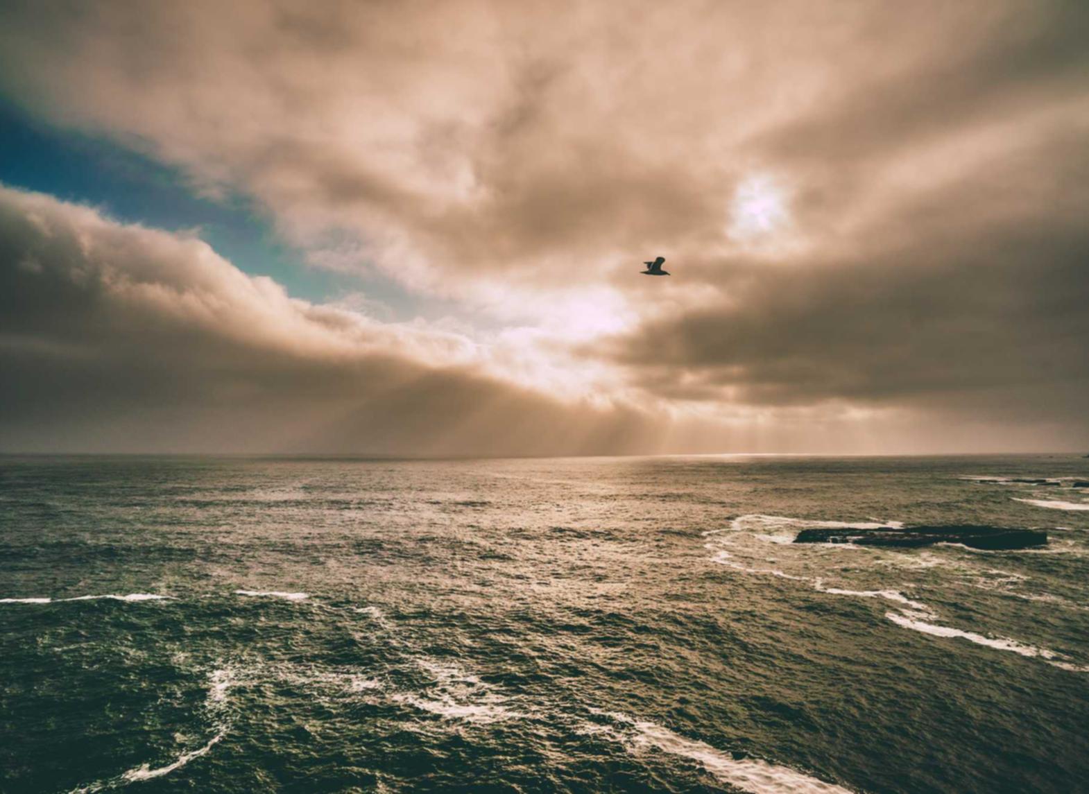 CC在线压力测试|如何保护你的公司网络安全