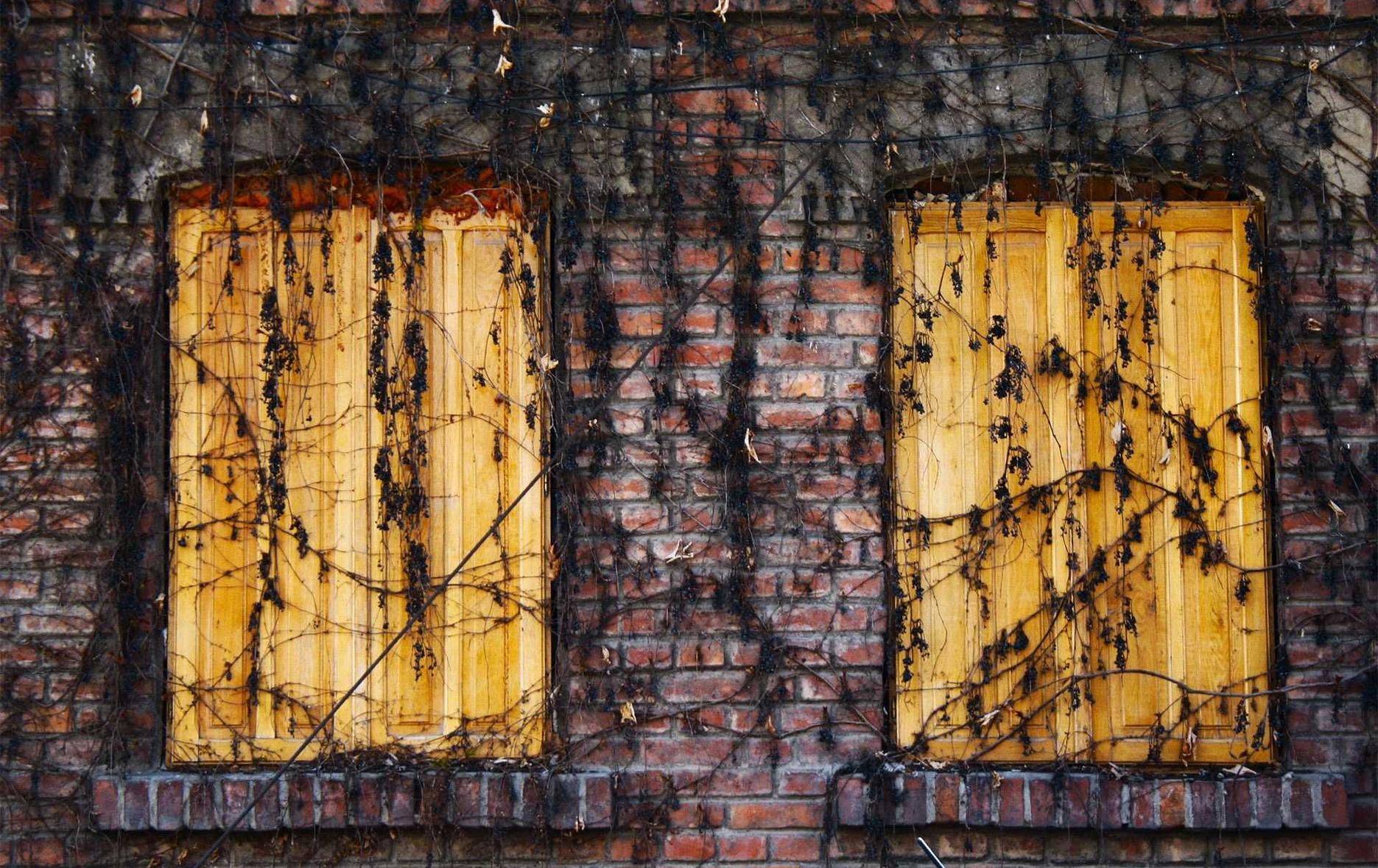 摩登7娱乐,注册|企业注册记账代理