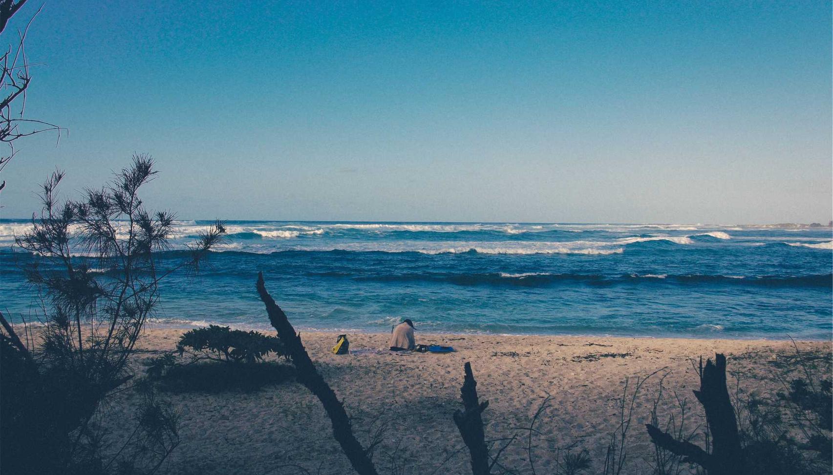 指尖领主：蘑菇视频app详情下载教程 详情下载教程