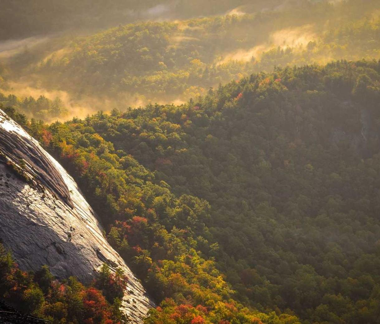 找到适合你的游戏技术支持辅助