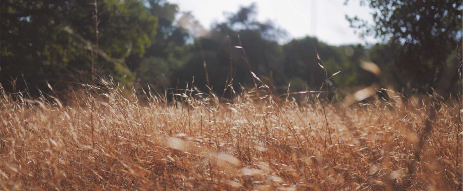 为什么女性很难戒掉香烟