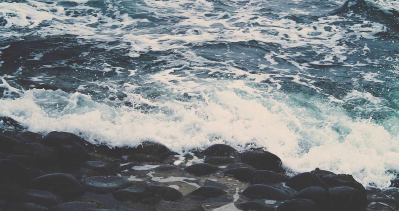 股票到哪个平台开户好呢