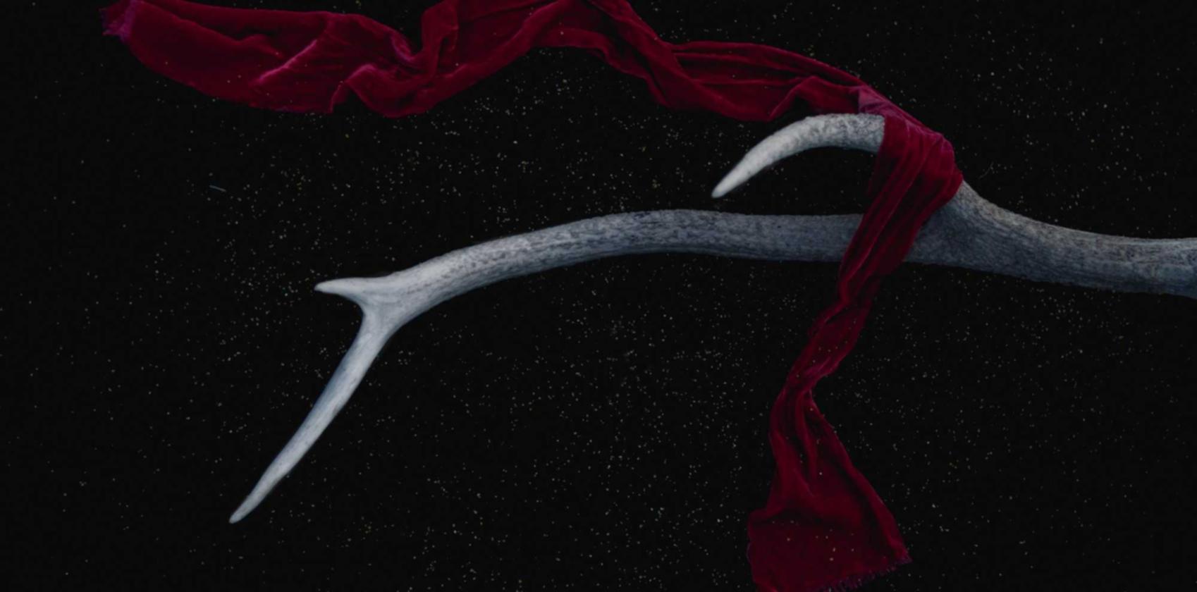 V粉卡实名账号:详情下载教程APP英语配音