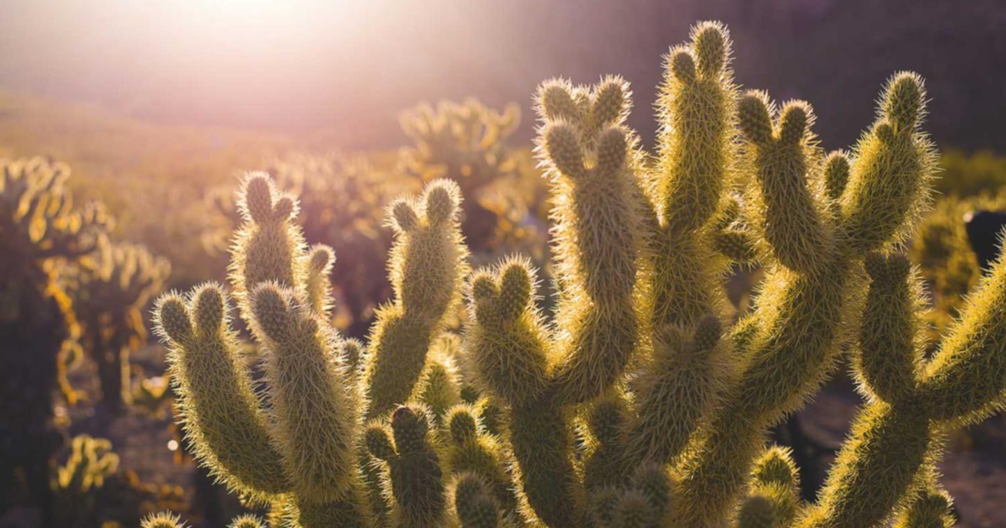 网信移动实名账号:石嘴山代理工商注册排名