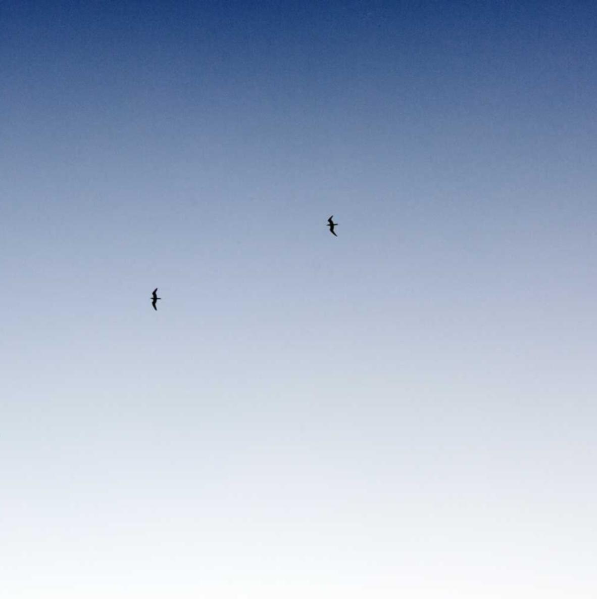 养生堂app详情下载教程