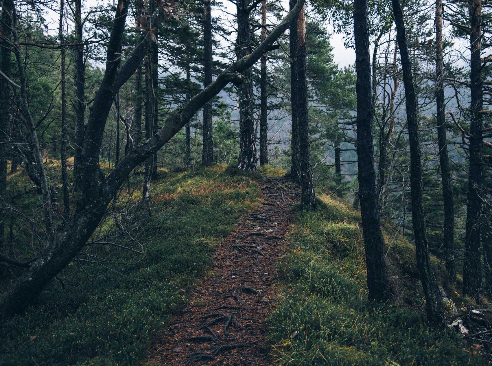 在线DDOS平台攻击|基础入门:如何成为一名黑客