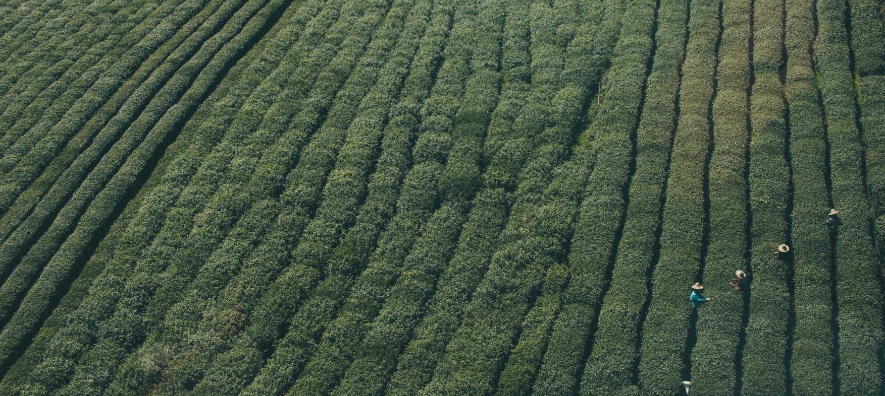 乾县代理企业工商注册公司