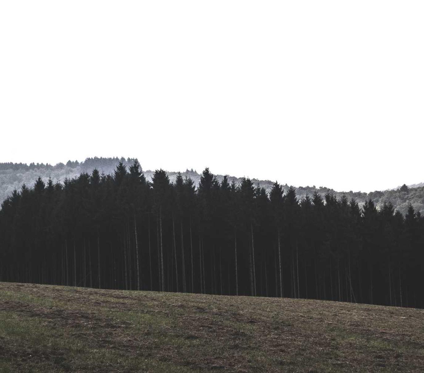 如何在SEO中故事化地营销您的内容