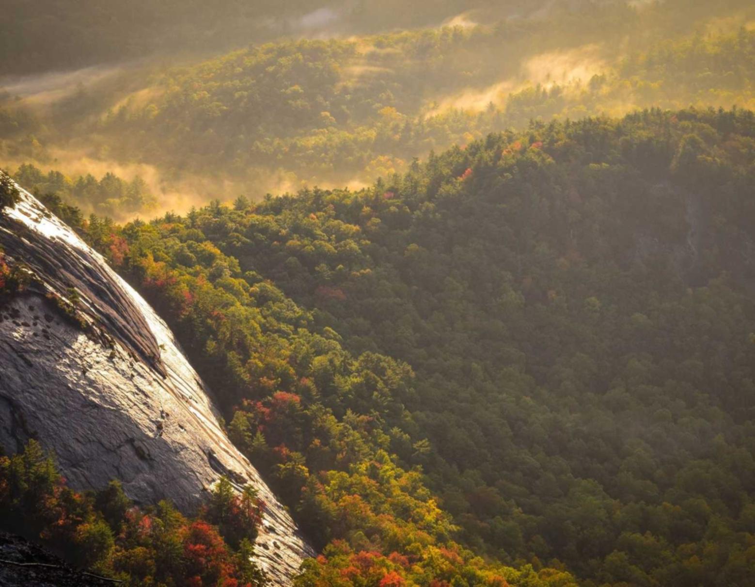 DDOS压力测试网页端|徐汇代理公司注册条件