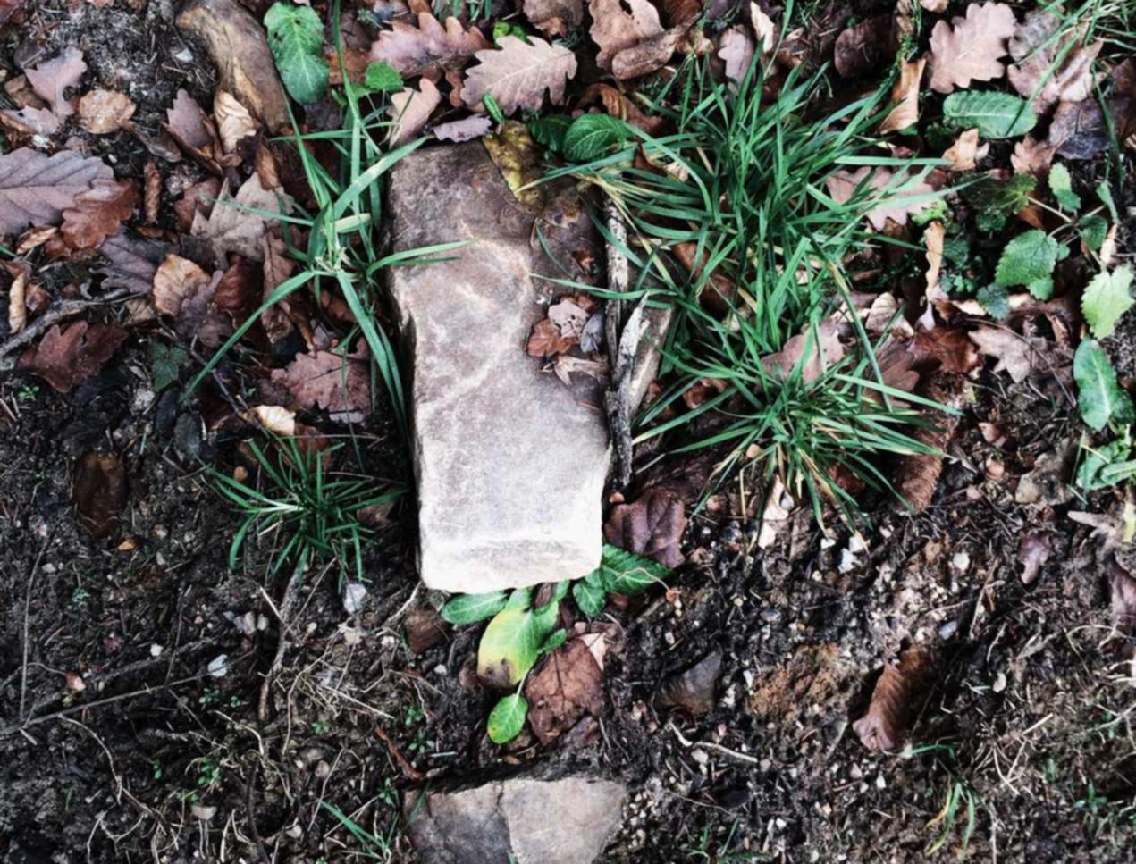 syn攻击|邕宁区商标注册代理