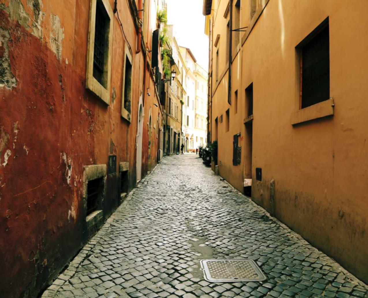 捕捉和惩罚技术支持使用者