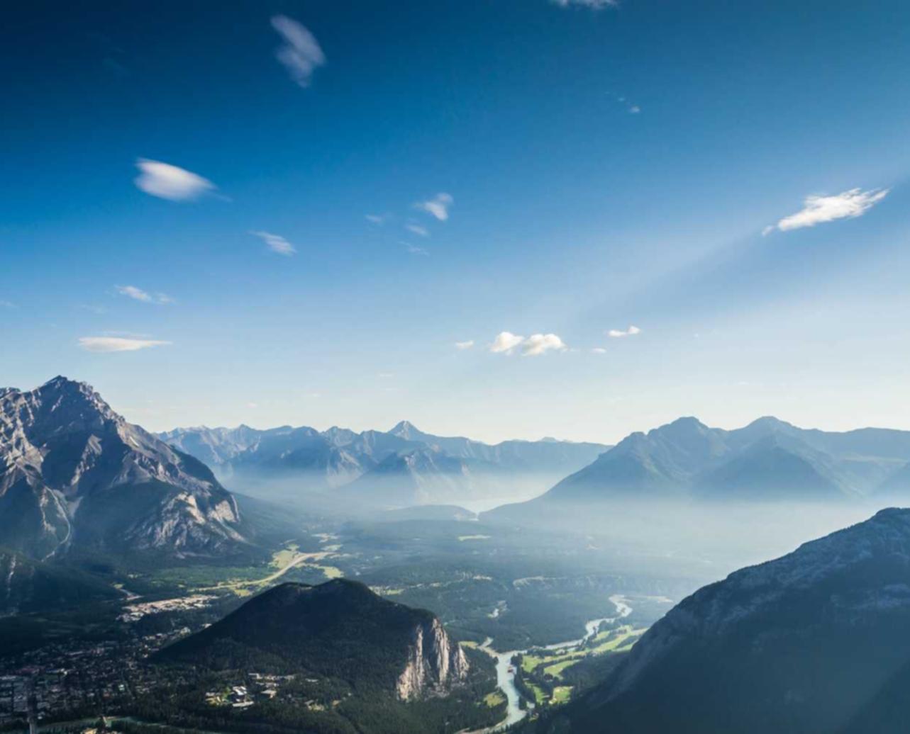 DDOS攻击器|泰顺独资公司代理注册流程