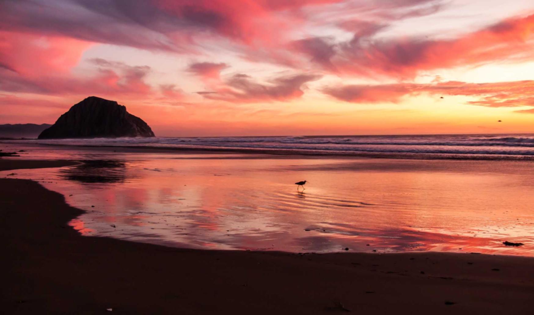 预制菜购买平台
