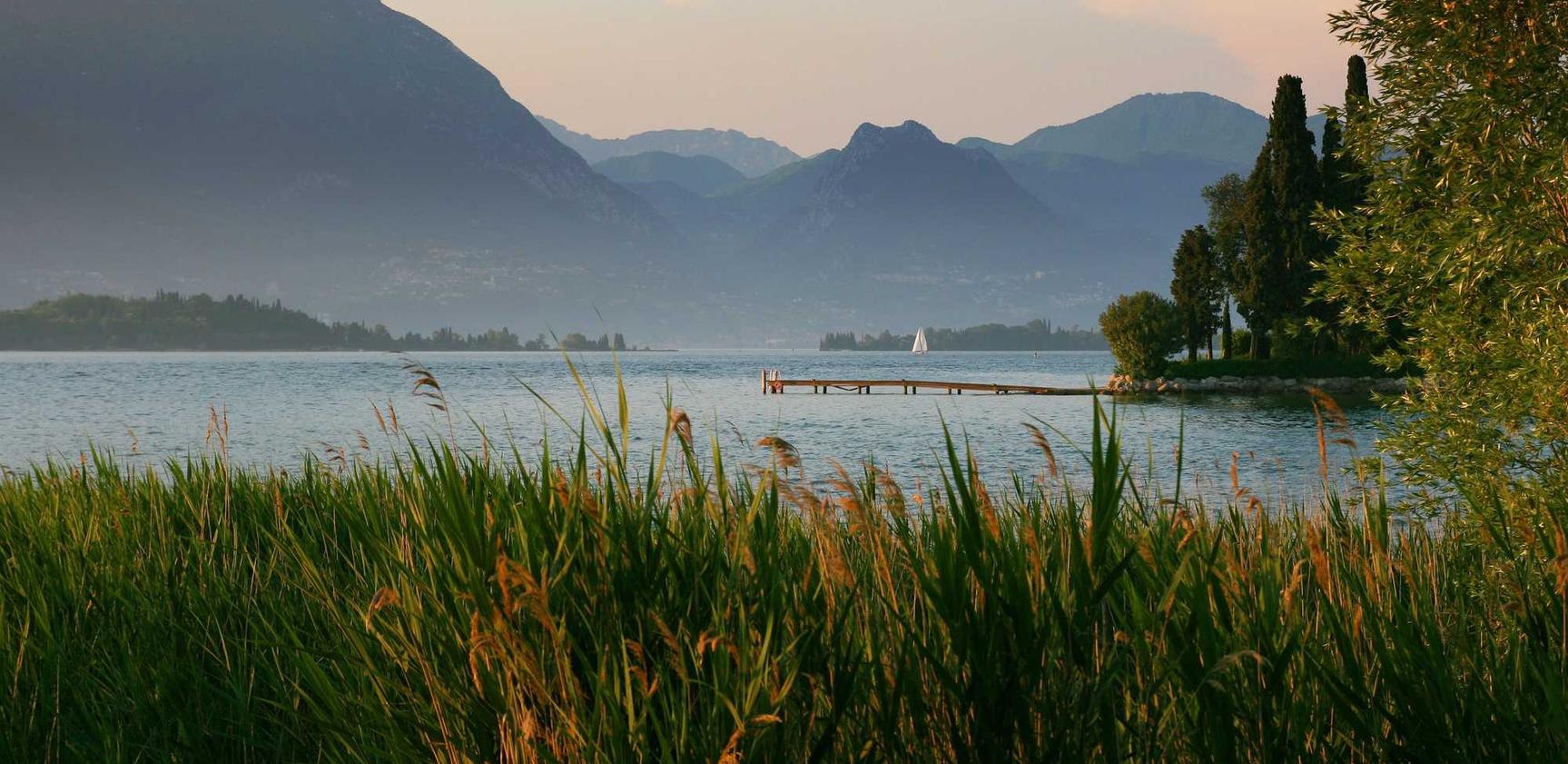 Action对魔忍:专辑购买平台wn