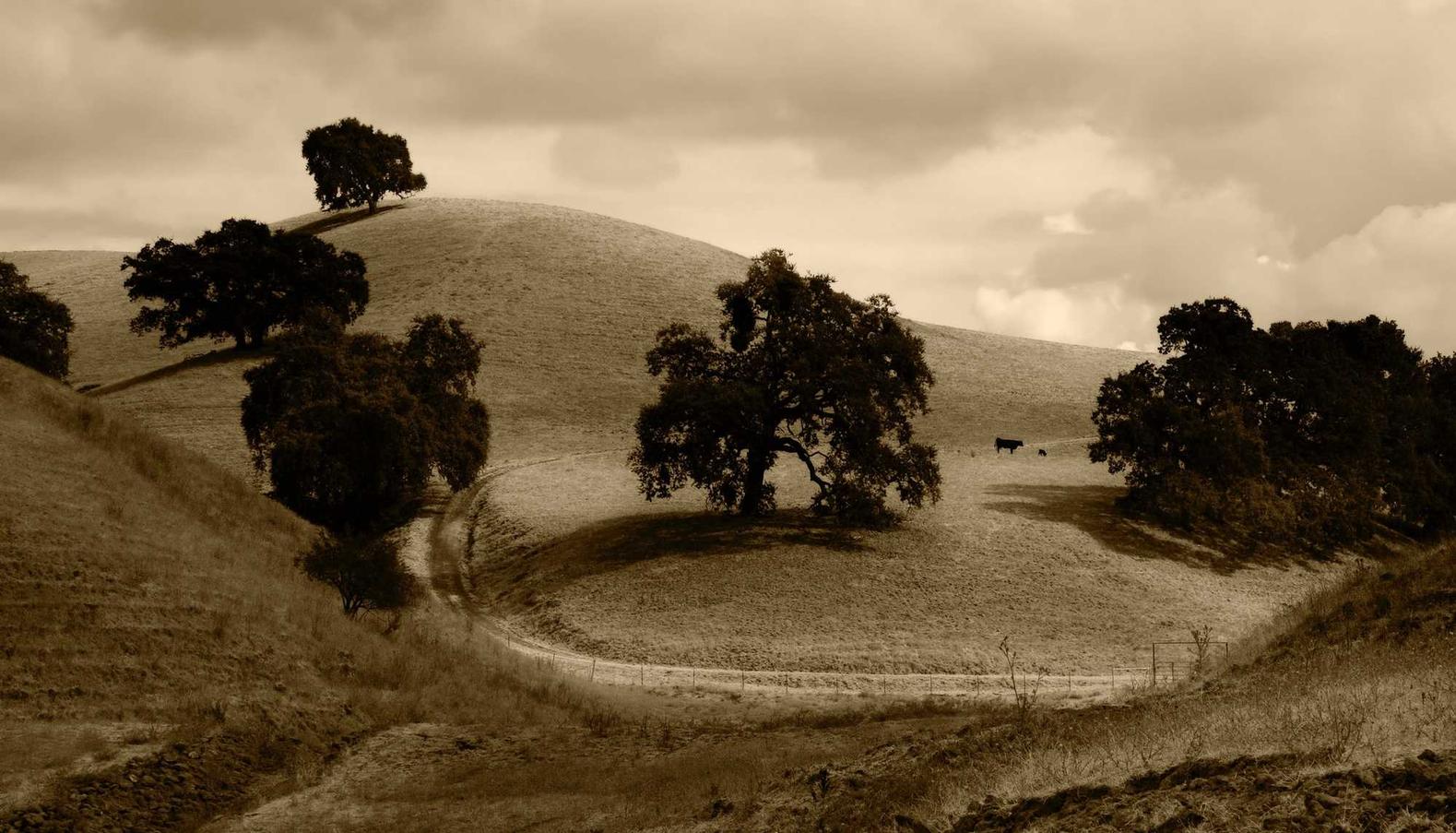 DDOS attack|晓弧APP详情下载教程