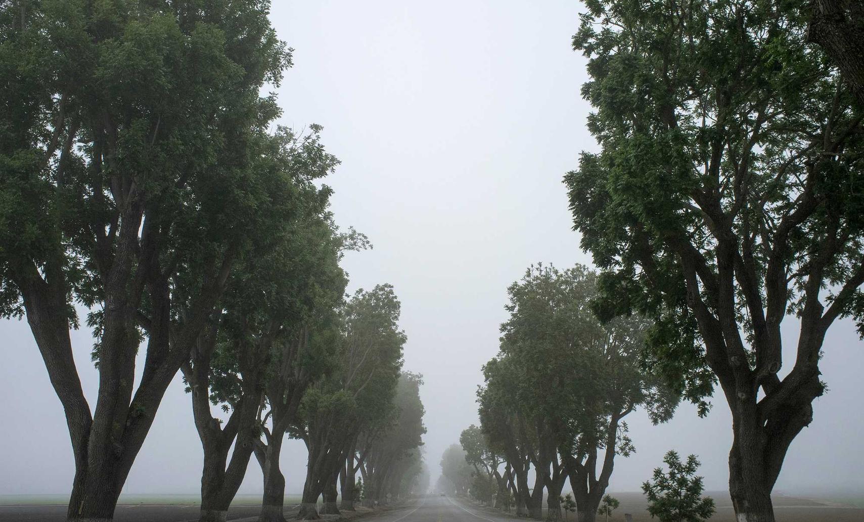 豪利时草莓爆珠:百度聚聚APP详情下载教程